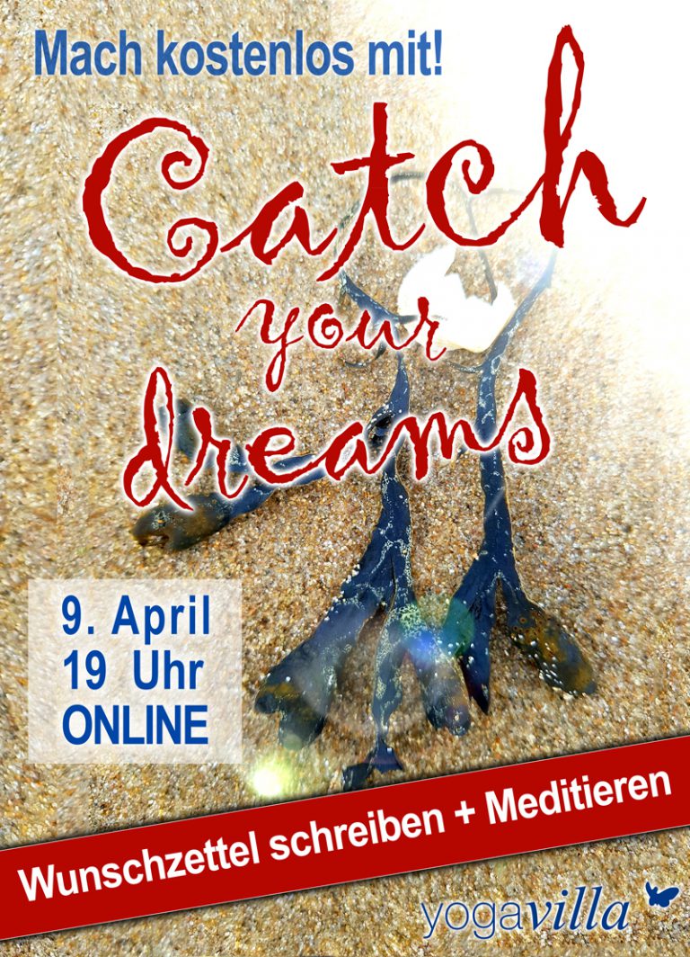 Catch your dreams bewusst kreier dir deine zukunft nach corona 