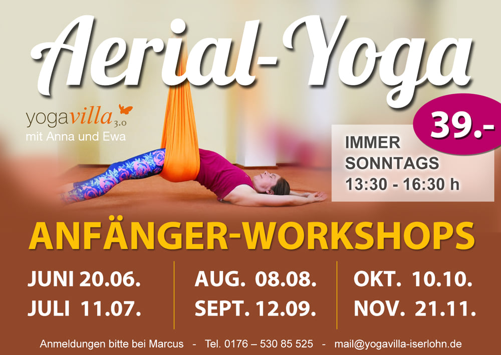 Aerial Yoga Workshops